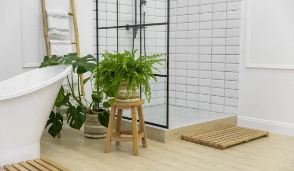 Kwiaty do łazienki — które gatunki wybrać? 